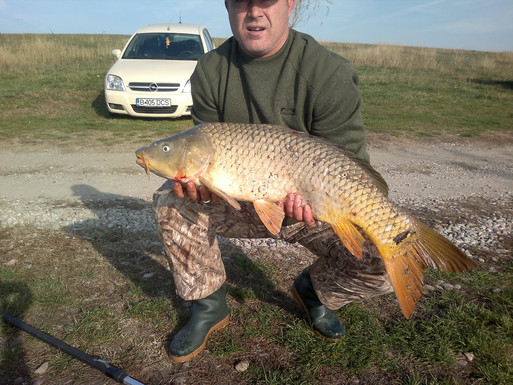 CATALIN DUTULESCU - picture-046.jpg